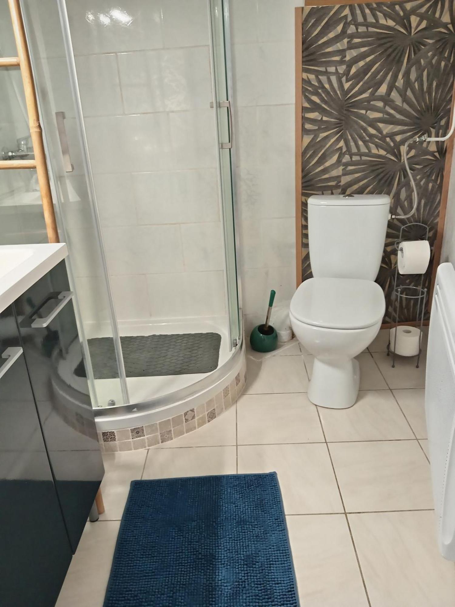 Location Saisonniere Cozes Exterior foto